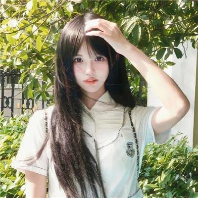 小菊的春天