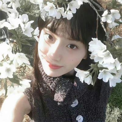 飞鱼